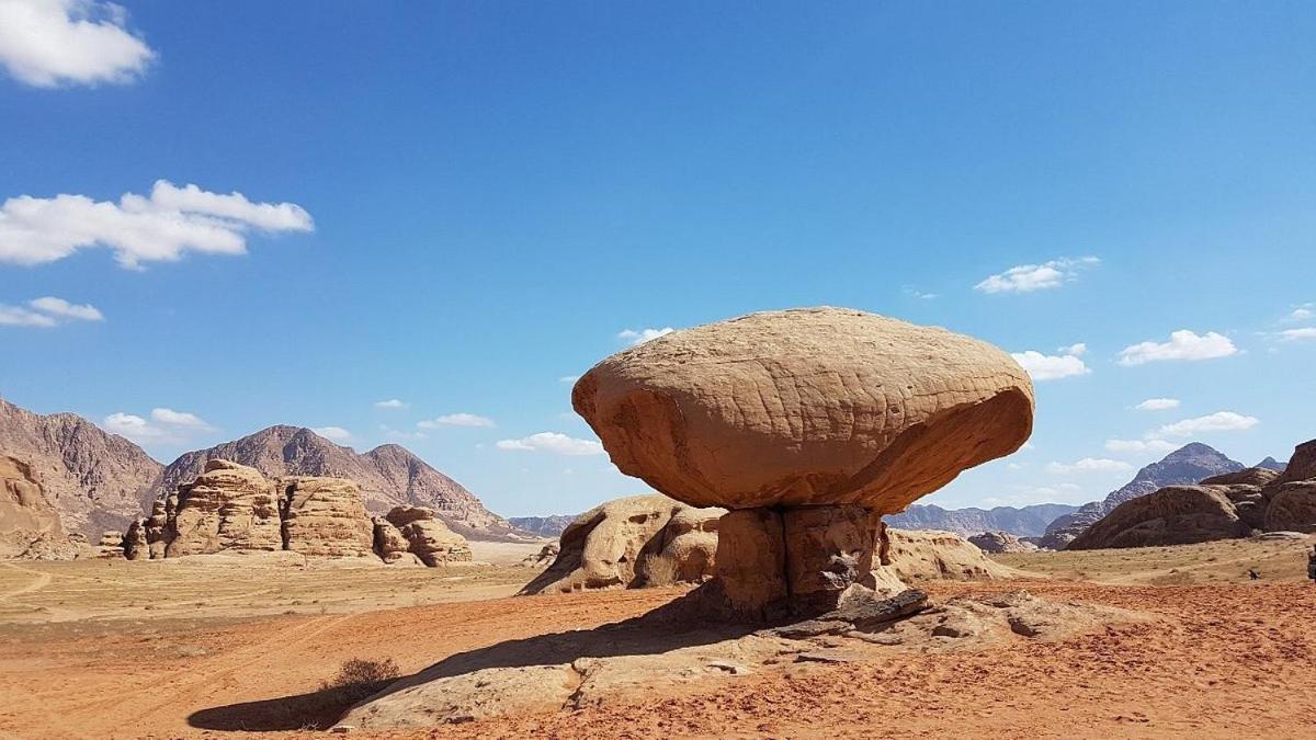 Moon City With Jeep Trips Hotel Wadi Rum Exterior photo