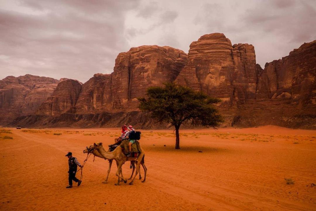 Moon City With Jeep Trips Hotel Wadi Rum Exterior photo