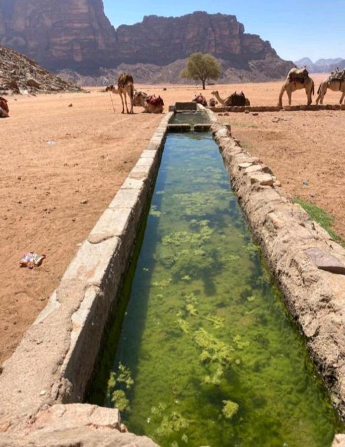 Moon City With Jeep Trips Hotel Wadi Rum Exterior photo